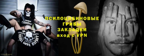 дмт Алзамай