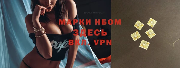 дмт Алзамай