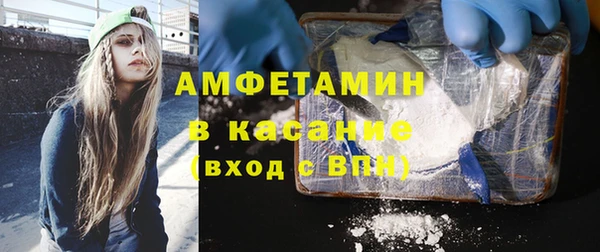 дмт Алзамай