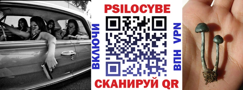 Галлюциногенные грибы MAGIC MUSHROOMS  darknet официальный сайт  Болхов 